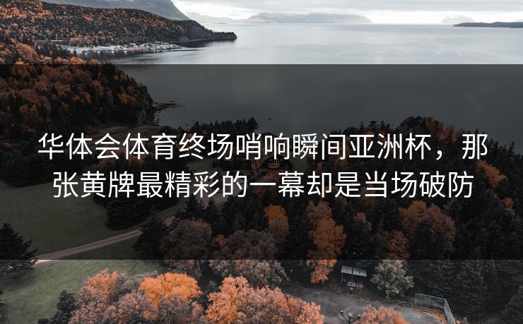 华体会体育终场哨响瞬间亚洲杯，那张黄牌最精彩的一幕却是当场破防