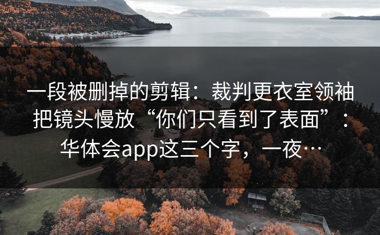 一段被删掉的剪辑：裁判更衣室领袖把镜头慢放“你们只看到了表面”：华体会app这三个字，一夜…