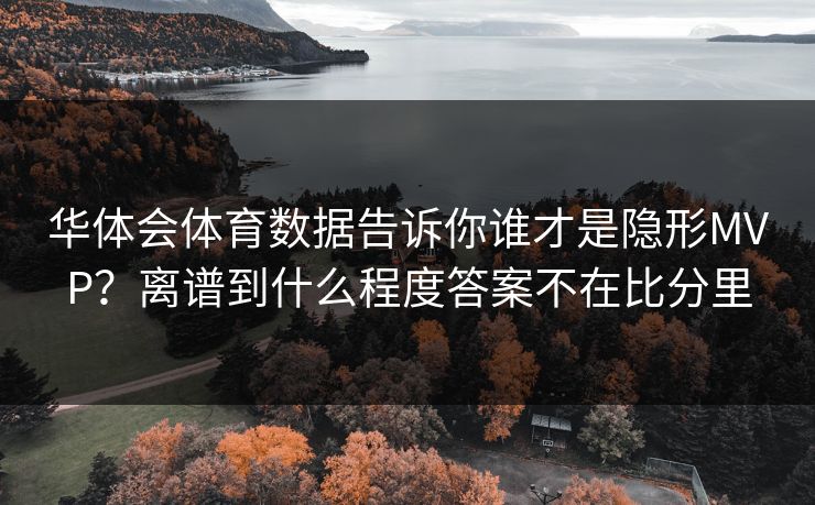 华体会体育数据告诉你谁才是隐形MVP？离谱到什么程度答案不在比分里