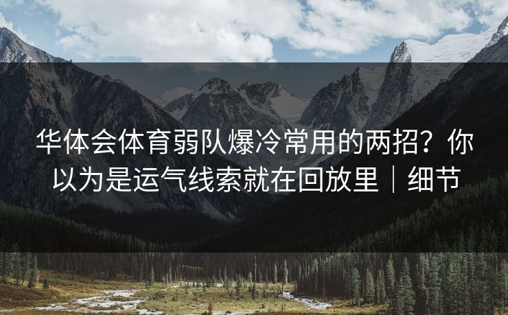 华体会体育弱队爆冷常用的两招？你以为是运气线索就在回放里｜细节