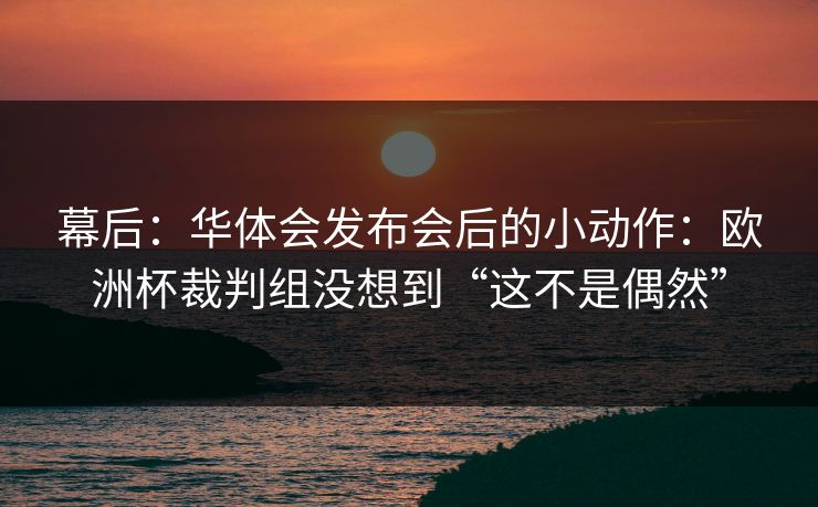 幕后：华体会发布会后的小动作：欧洲杯裁判组没想到“这不是偶然”